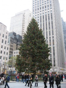 First Glimpse of the Rockefeller Tree