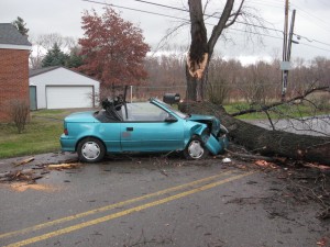 tree and car 003 tree and car 003