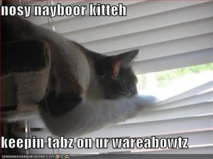 nosy neighbor kitteh